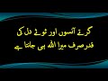 Best allah quotes  quotes for human  anmol quotes  ilmi thinking  best aqwwal 