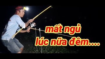 Câu cá tra sông// cuộc chiến không cân sức giữa cần thủ và bây cá lúc nữa đêm khuy