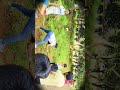 Swatchchta Hi seva program at #rifleshooting #range #bhadradrikothagudem September 21, 2025