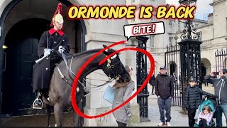 She get SHOCKED, Three Tourists BITTEN By King’s Horse ORMONDE