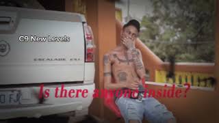 C9 New Levels  visual