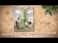 Video Image