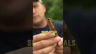 How Powerful Is R.I.P 50 BMG Ammo(Ballistics Dummy Test) #kentuckyballistics #military #shorts
