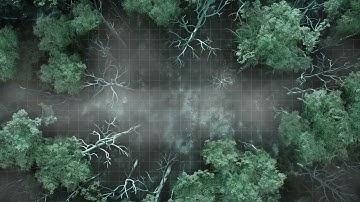 D&D | Haunted Woods Part 3 Grid | Animated Battle Maps