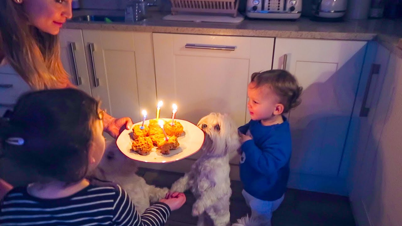 PUPPY'S 4TH BIRTHDAY PARTY!