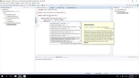 YENİ BAŞLAYANLAR İÇİN JAVA 10Reflection