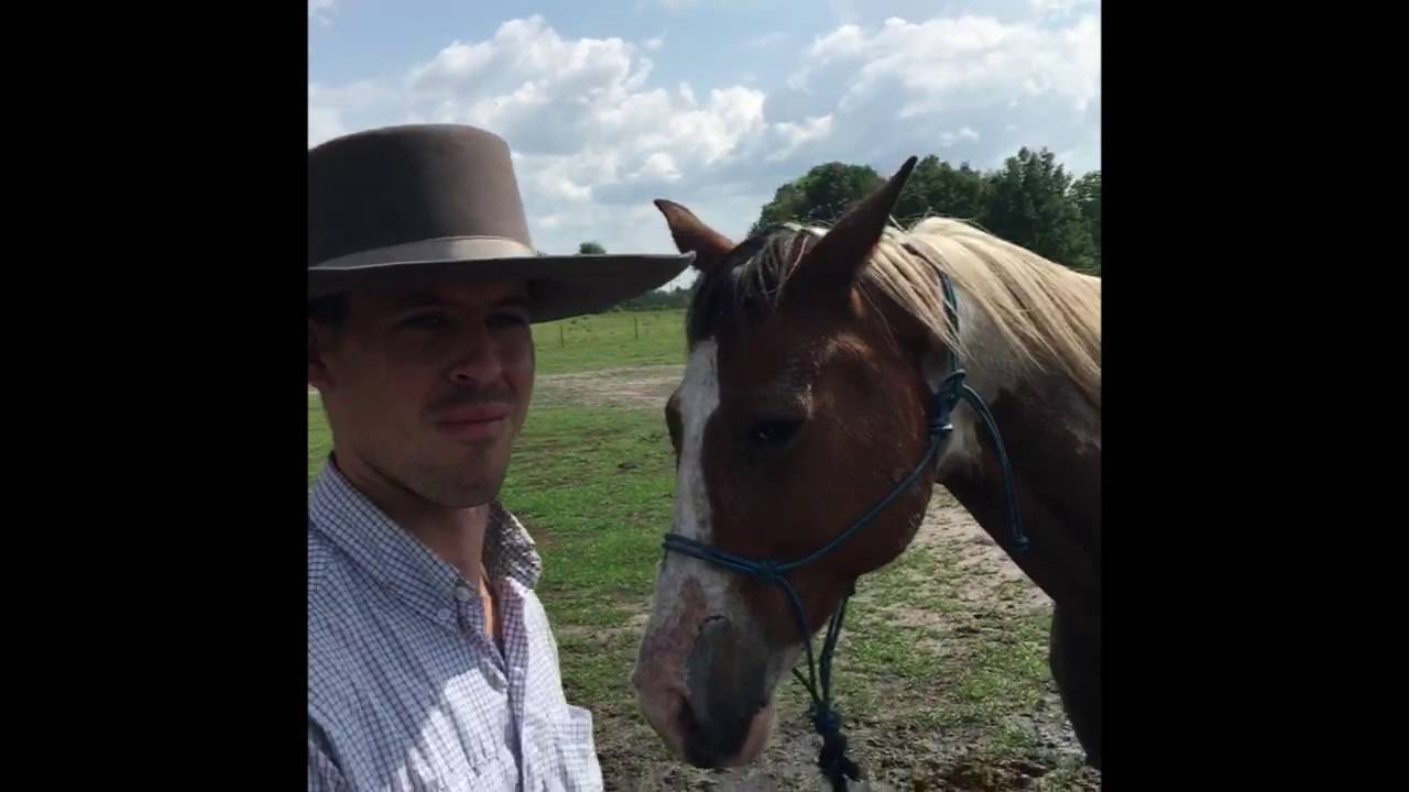 Desensitizing A Horse To Water YouTube