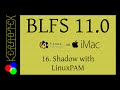 16: Shadow with LinuxPAM - BLFS 11.0 on iMac