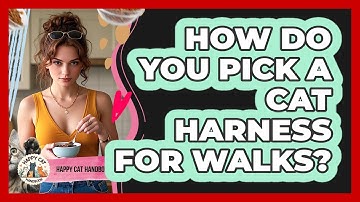 How Do You Pick A Cat Harness For Walks? - Happy Cat Handbook
