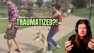 When Calm Looks “Traumatized” to Humans | Cesar 911 Analysis