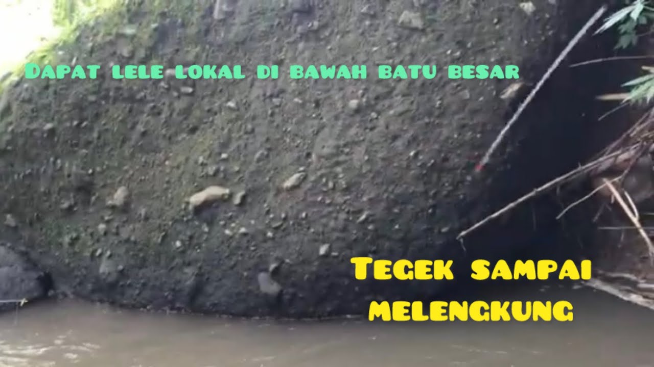 Mancing di aliran sungai di bawah kaki gunung wilis🌲🗻