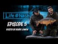 Life at Nash - Carp Fishing Vlog - Behind the scenes with Henry Lennon