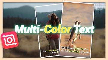 Multi-Color Subtitles, Captions, or Text | InShot Tutorial