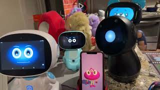 Jibo & Friends - Mystery Unboxing Livestream (Short But Sweet)