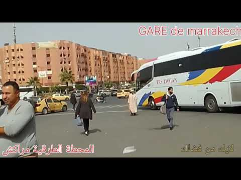 أجمل حافلات الدوفان المغربي داخل مدن المملكة  