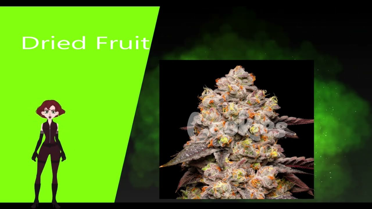 Dried Fruit - Cookies Seed Bank