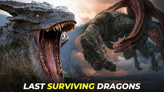 How Many Dragons Survive the Dance of the Dragons?