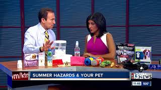 Summer Hazards & Your Pet with Dr. Jeff Werber