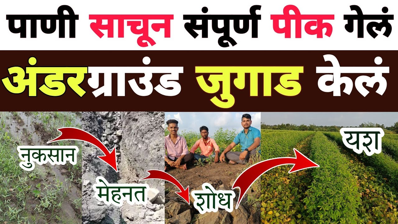 पाणी साचल्याने एक क्विंटलही उत्पादन होत नव्हतं मग शेतकऱ्यांनी अस काही केलं की 10 पटीने उत्पादन वाढलं