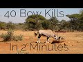 Bow Hunting Africa 40 Bow Kills In 2 Minutes 