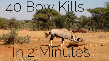 Bow Hunting Africa - 40 Bow Kills In 2  Minutes