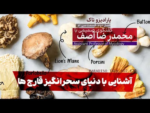 گفتگو 30 با دکتر محمد رضا آصف دنیای سحر انگیز قارچ ها بزرگترین و باهوش ترین موجود زنده روی زمین