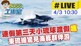 【BOSS工作室 #LIVE】連假第三天小琉球渡假趣 東琉線驚見海豚群伴游 20230403 @CtiNews @CtiCSI