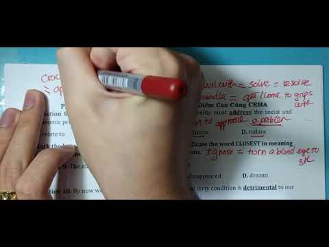 Video BỘ ĐỀ ÔN THI GIỮA HỌC KÌ 1 TIẾNG ANH 12 SÁCH MỚI - youtube