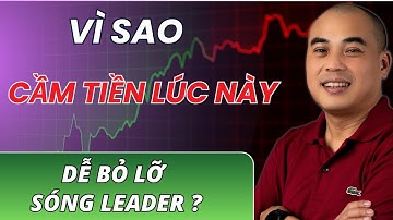Xu Hướng Dòng Tiền | Vì Sao Cầm Tiền Lúc Này Dễ Bỏ Lỡ Sóng Leader ?