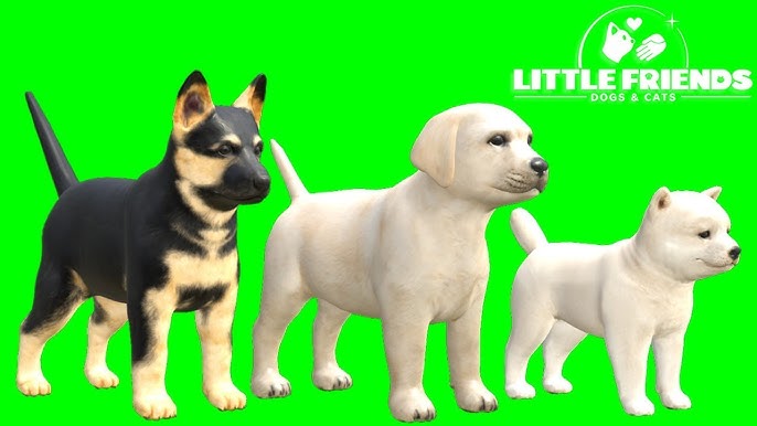 Little Friends: Dogs & Cats - Pet Care Kids Games - Episode 6, pet