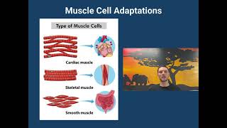 B2.3 Cell Specialization