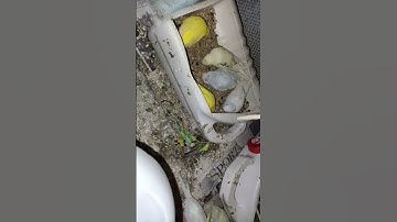 #ShOrTs#ytshorts#ytstudio