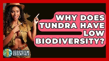 Why Does Tundra Have Low Biodiversity? - Ecosystem Essentials