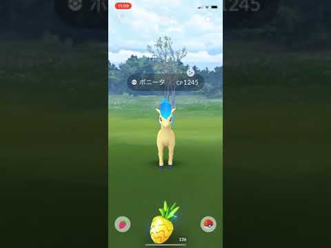 ポケモンGo 色違い ポニータ