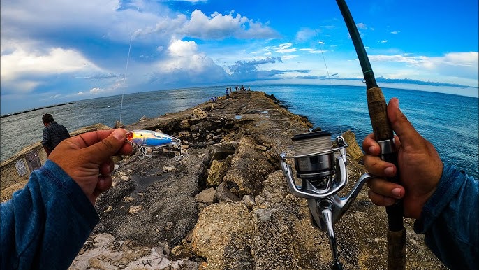 The Only Three Lures You Need (Florida Saltwater Shore Fishing) 