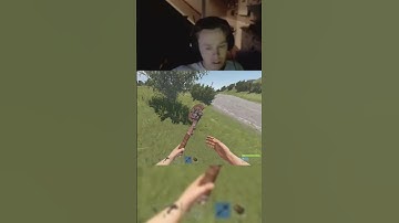 the aidster style bait  #rust