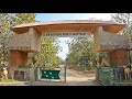 Gir National Park | Jungle Safari | Gir Jungle | Sasan Gir Gujarat | Manish Solanki Vlogs
