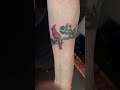 Red Cardinal Tattoo by Katie #tattoo #tattooideas #tattoos #tattoodesigns #ink #tattoolover