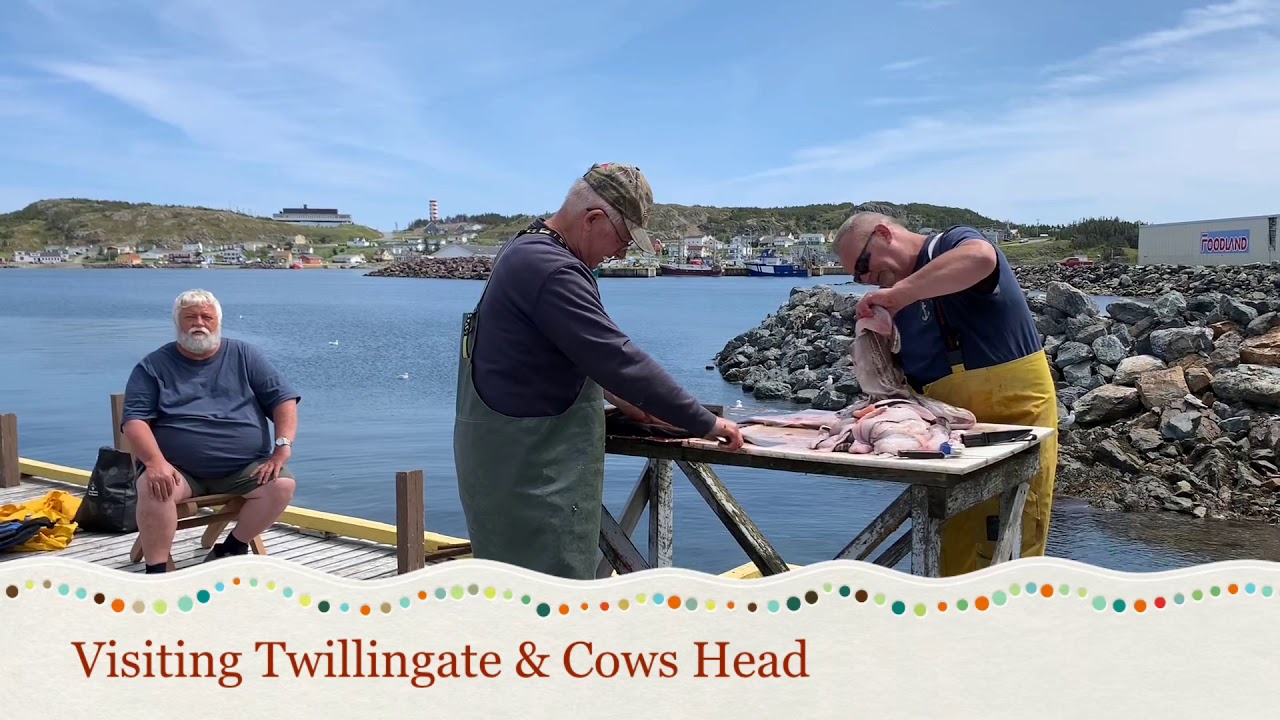 Exploring Twillingate Island Newfoundland