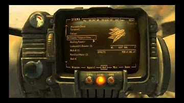 Fallout New Vegas: Cheat Terminal Mod
