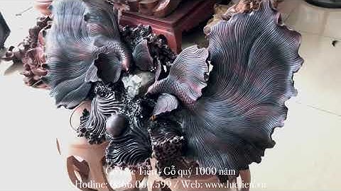 Tượng đôi cá Xiêm gỗ Trắc đỏ đen / Gỗ Lực Tiến / 0866.060.599