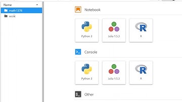 Math 1376: Accessing and Using the JupyterHub