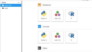 Math 1376: Accessing and Using the JupyterHub