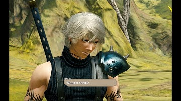 Chapter IV Part 2 Gameplay 01- Prophecy and disillusion - Mobius Final Fantasy