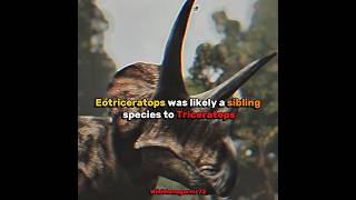 Are Eotriceratops and Triceratops two different genus? #extinctanimals #eotriceratops #triceratops
