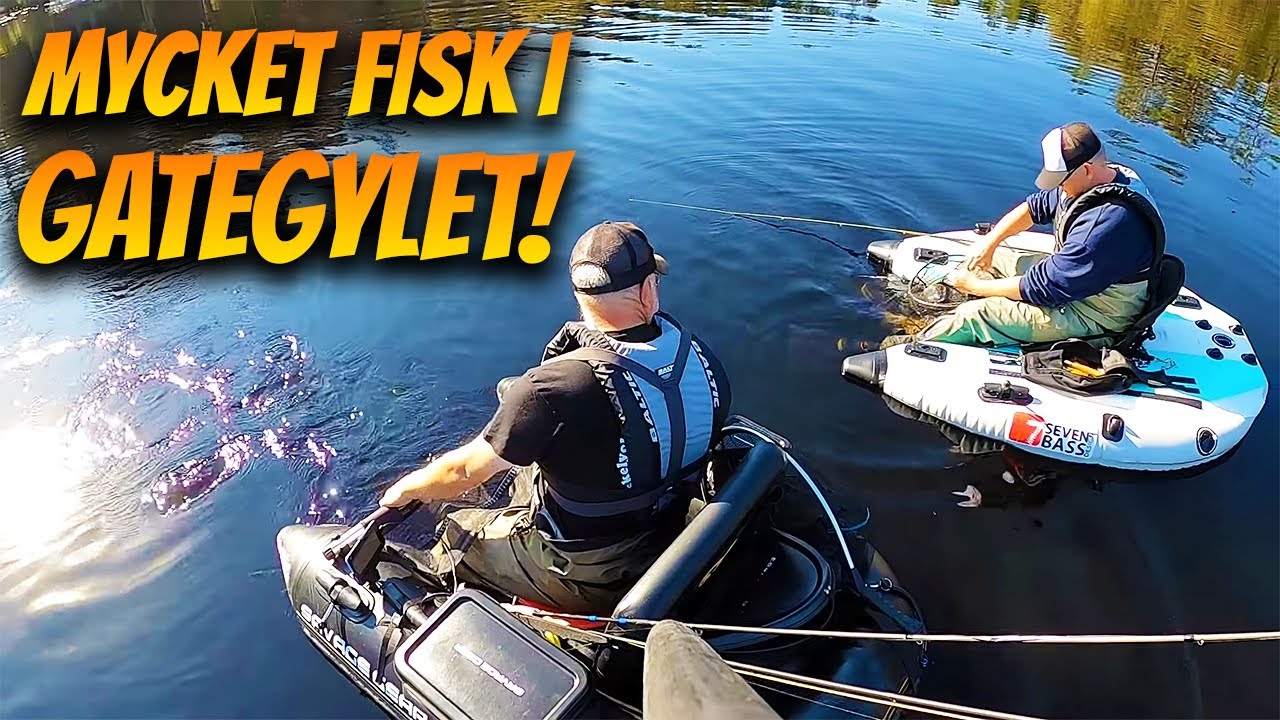 Flytringsfiske Efter Fina Regnbågar i Gategylet Harasjömåla | Fiskelycka