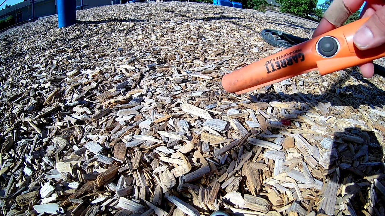 Metal Detecting School Playgrounds With Garrett Ace 250 (Vancouver BC