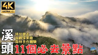 2023南投溪頭深度旅遊銀杏森林大崙山變幻萬千的夕陽與雲海 11 mustsee attractions in Nantou Xitou are in Taiwan