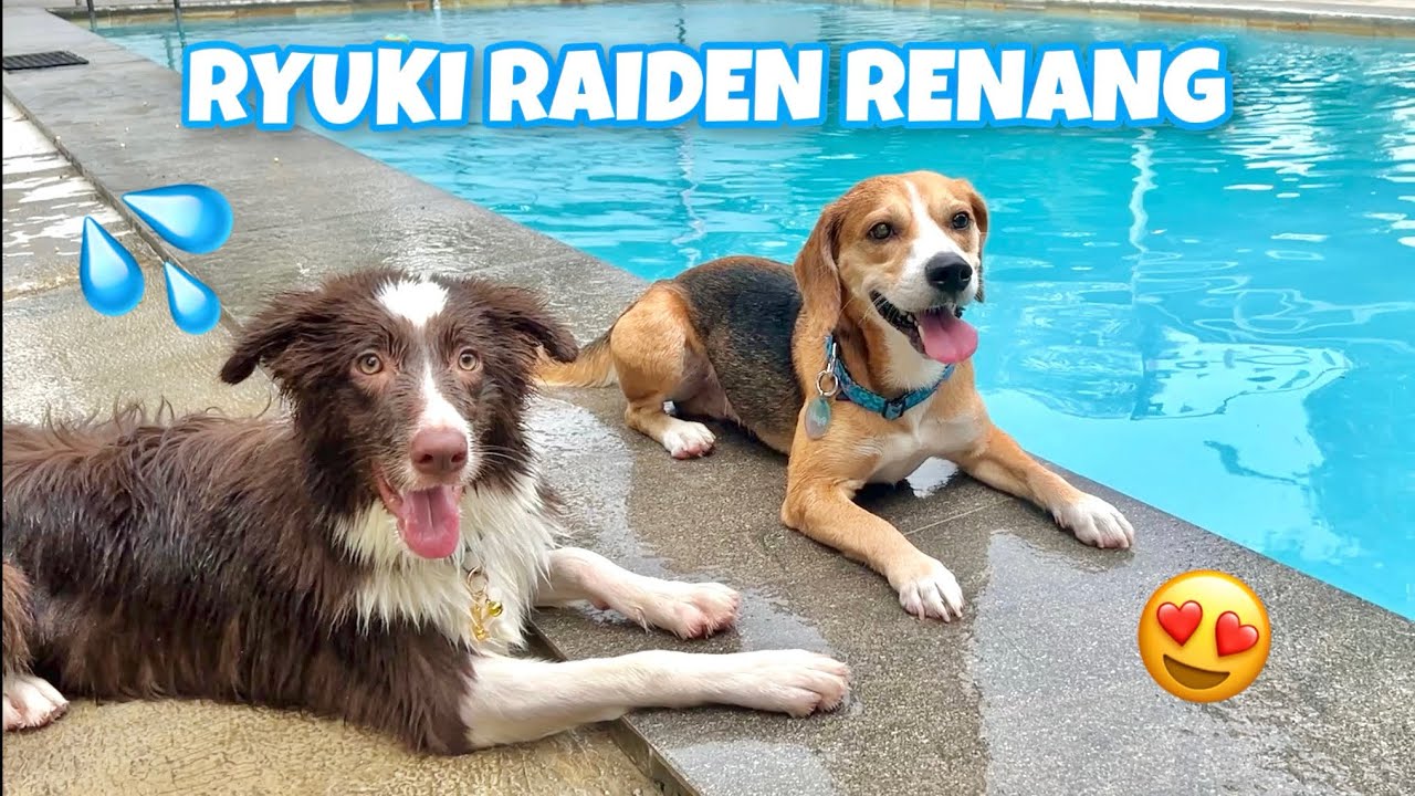 RYUKI RAIDEN BERENANG DI WATERPARK ANABUL‼️😍💦