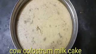 cow colostrum milk cake | seempal recipe in tamil | milk sweet recipe screenshot 5
